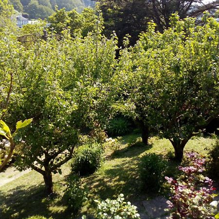 12 Impasse Damilaville Etretat Bagian luar foto