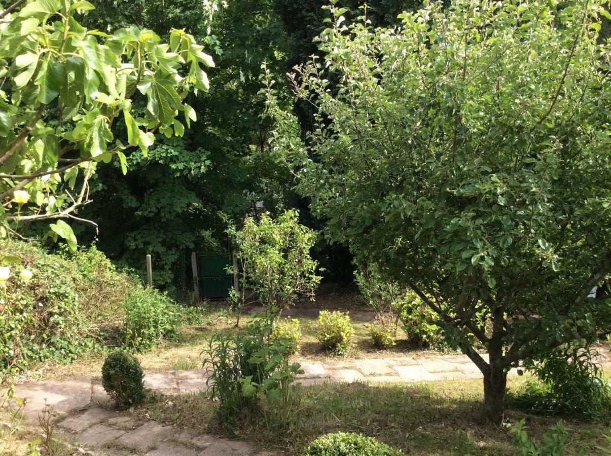 12 Impasse Damilaville Etretat Bagian luar foto