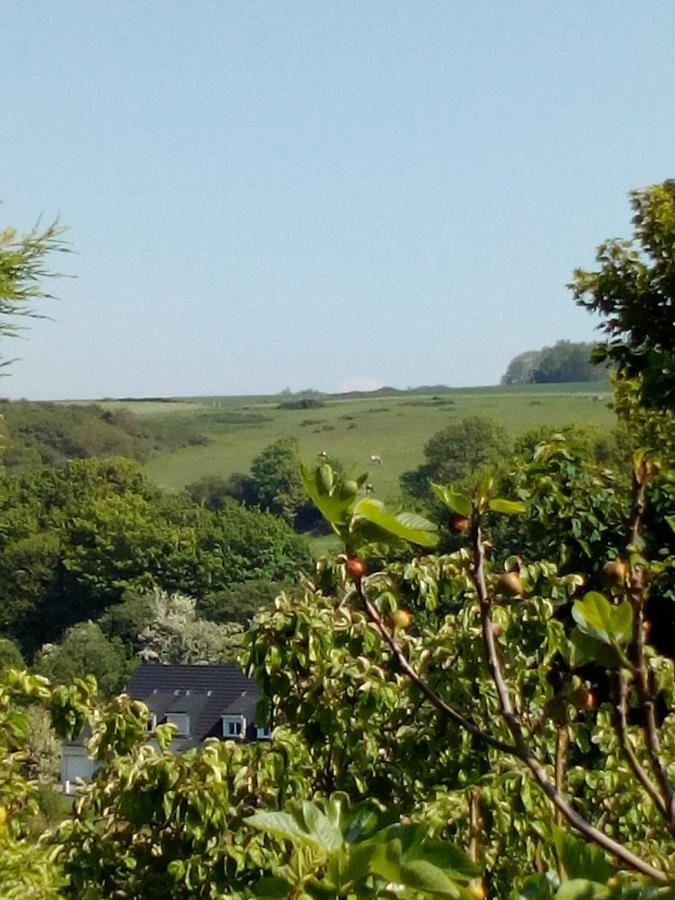 12 Impasse Damilaville Etretat Bagian luar foto